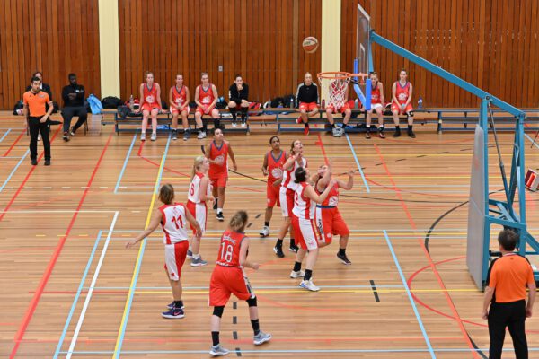 Foto dames onder basket